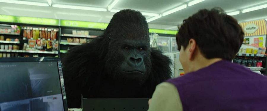 Un zoológico extraordinario